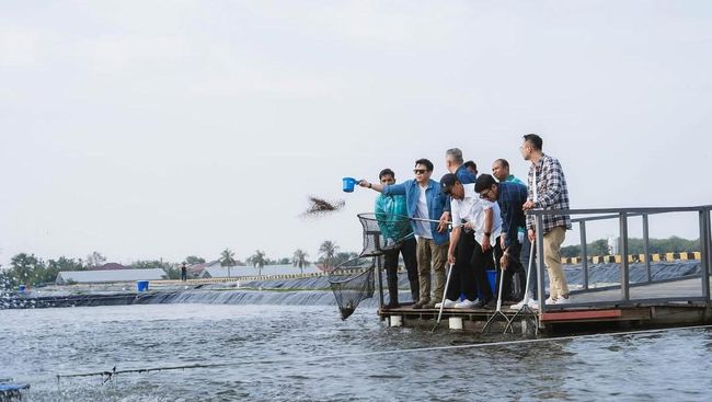 Momen Menteri Trenggono dan Raffi-Ariel Cek Tambak Ikan Nila Karawang