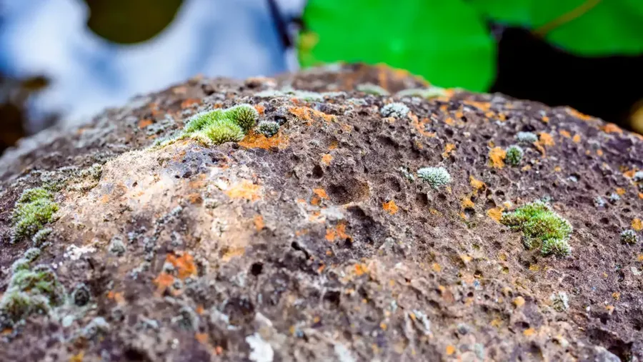 Mineral berharga mengandung thorium dan logam tanah jarang (LTJ). (Dok. BRIN)