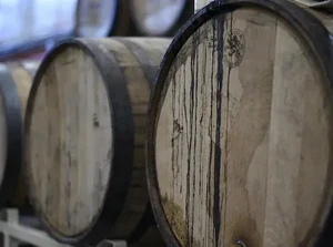 Wow! Arkeolog Temukan Pabrik Wine Romawi Berusia 1.600 Tahun