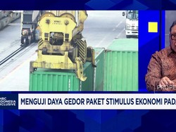 Video: Peluang Besar di Balik Bisnis Dairy Farm dan Ekspor Rempah
