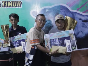 Peternak Muda Bersinar di Jember Cup, Sapi Lokal Mojokerto Jadi Juara