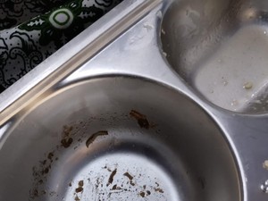 Heboh Temuan Ulat di Menu MBG SDN Argapura Cirebon
