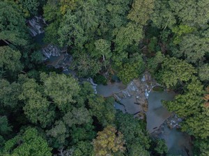 Ahli ITB Tekankan Hutan Alami Cegah Banjir-Longsor, Apakah Kebun Sawit Bisa?