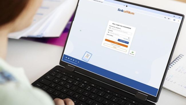 Top! LinkUMKM BRI Catat 13,6 Juta Pengguna hingga September 2025