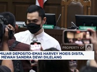 Video: Aset-Tas Mewah Harvey & Sandra Dewi Dilelang - Banjir Vietnam