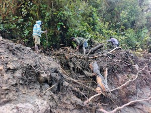 Update Banjir Bandang di Nduga: Korban Hilang Bertambah Jadi 23 Orang