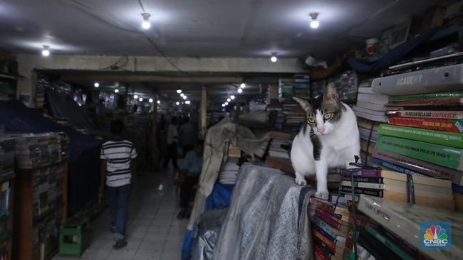 Sentra Buku Kwitang Sunyi Sepi, Pedagang Hanya Duduk 'Mematung'