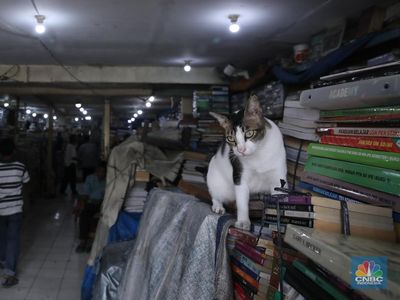 Sentra Buku Kwitang Sunyi Sepi, Pedagang Hanya Duduk 'Mematung'
