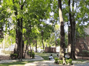 Bamboo Park di Tangerang, Serasa di Puncak, Asri dan Adem