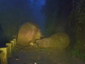 Jalan di Lereng Merbabu Boyolali Tertutup Batu Besar akibat Longsor