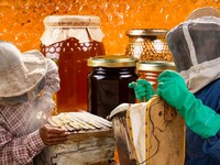 Nasib Madu RI Ternyata Pahit, Produksi Besar Tapi Malah Banjir Impor