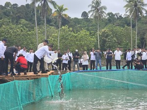 Menteri Imipas-Kepala Bappenas Lepas 1.200 Bibit Sidat di Nusakambangan