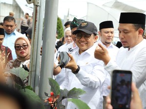 Cak Imin Minta BGN Pakai Bahan Baku Lokal untuk Program MBG