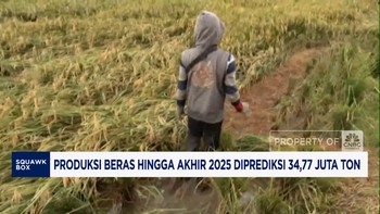 Video: Produksi Beras Hingga Akhir Tahun Diramal Tembus 34,77 Juta Ton