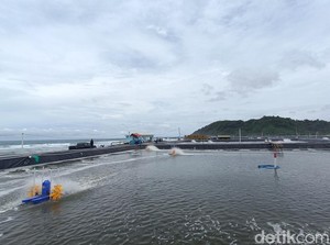 Cerita Narapidana Nusakambangan Bergelut di Tambak Udang