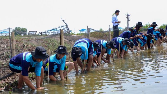 BRI Ajak Generasi Muda Jaga Ekosistem Lingkungan Pakai Ini