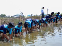 BRI Ajak Generasi Muda Jaga Ekosistem Lingkungan Pakai Ini