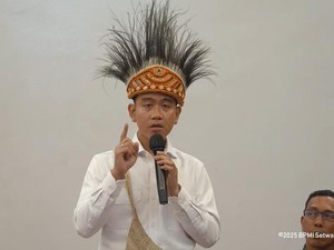 Gibran Tepis Tudingan Diasingkan di Papua