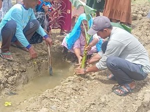 Puluhan Tahun Jalan di Cikaret Pandeglang Rusak, Warga Tanam Pohon Pisang