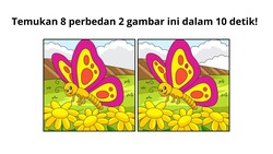 7 Tantangan Mencari Perbedaan pada Gambar, Yakin Bisa Temukan dengan Cepat?