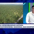 Video: Program B50 Diuji, Harga CPO & Regulasi Sawit Jadi Sorotan