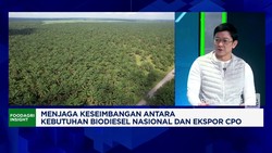 Video: Program B50 Diuji, Harga CPO & Regulasi Sawit Jadi Sorotan