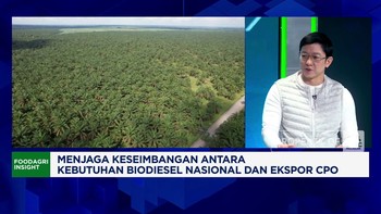 Video: Program B50 Diuji, Harga CPO & Regulasi Sawit Jadi Sorotan