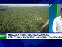 Video: Program B50 Diuji, Harga CPO & Regulasi Sawit Jadi Sorotan