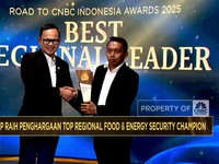 Video: Kab Sidrap Raih Top Regional Food & Energy Security Champion