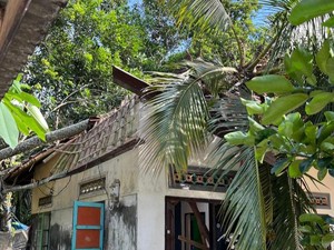 Rumah Warga Karangasem Hancur Akibat Tertimpa Pohon Kelapa