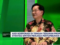 Video: Arah Baru Emiten Properti, Diversifikasi ke Kawasan Industri