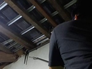 Ular Sowo Kopi 1,2 Meter Nangkring di Atap Rumah Warga Boyolali