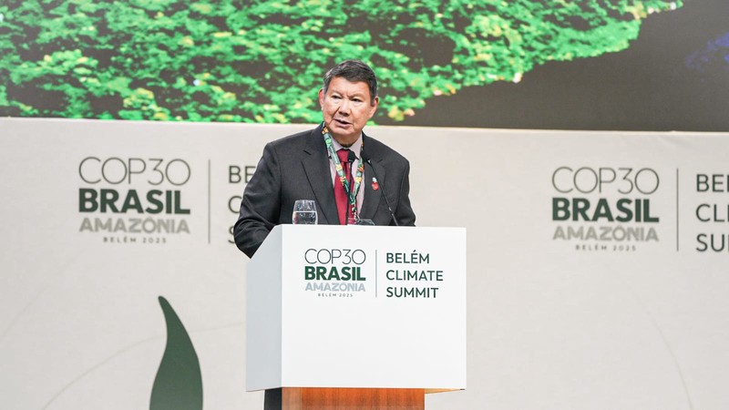 Indonesia menegaskan kembali komitmennya terhadap aksi iklim global dan menyampaikan dukungan penuh terhadap inisiatif Tropical Forests Forever Facility (TFFF) yang diluncurkan oleh Presiden Luiz Inácio Lula da Silva di Belem, Brasil. (Istimewa)