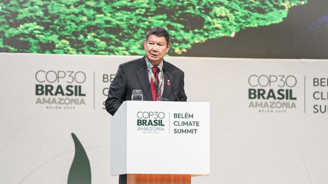 RI Dukung Inisiatif Brasil untuk Konservasi Hutan Tropis Dunia