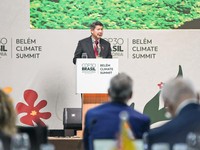 RI Dukung Penuh Inisiatif Brasil untuk Konservasi Hutan Tropis Dunia