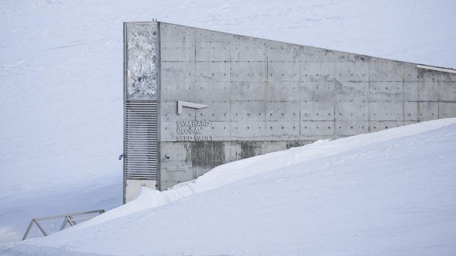 Gudang Benih Global Svalbard. (AFP/JONATHAN NACKSTRAND)