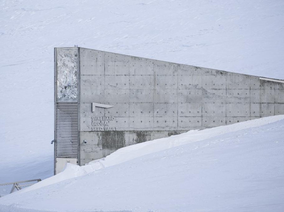 Global Seed Vault: Penyelamat Varietas Tanaman Terbesar di Dunia di Kutub Utara