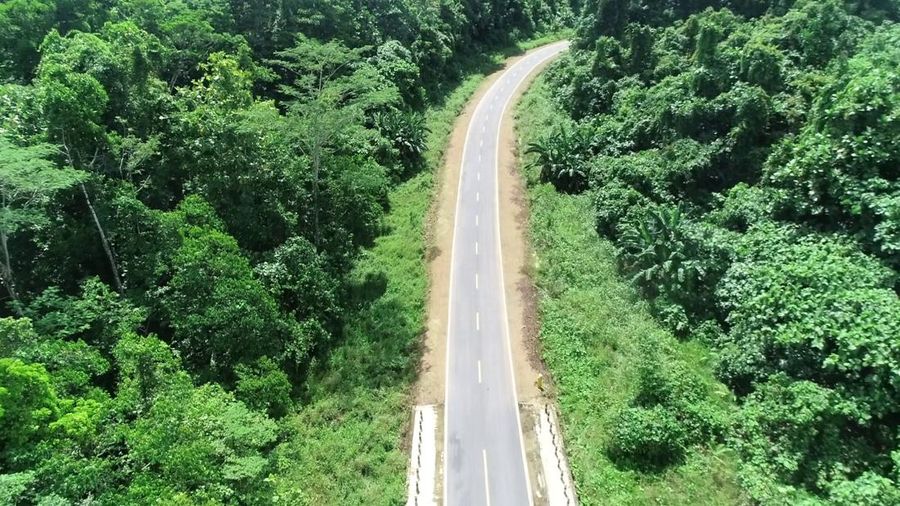 Jalan Kwatisore-Kampung Muri di Papua Tengah