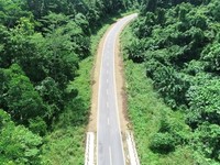 Waskita Karya Buka Akses Jalan di Papua, Nabire-Manokwari Cuma 14 Jam