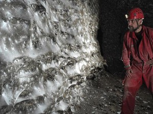 Wow! Jaring Laba-laba Raksasa Seluas Lapangan Bulu Tangkis Ditemukan di Negara Ini