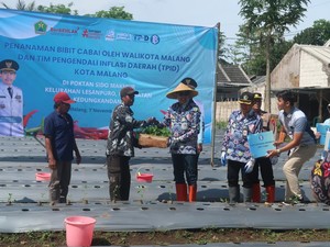 Pemkot Malang Bersama TPID Tingkatkan Produksi Cabai untuk Stabilitas Pasar