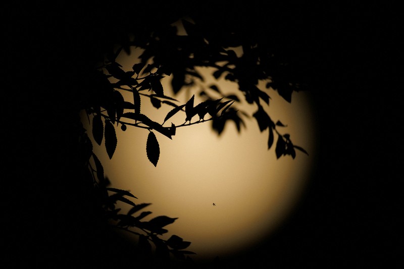 Pesawat melintasi bulan supermoon di Aguimes, Pulau Gran Canaria, Spanyol, 5 November 2025. (REUTERS/Borja Suarez)
