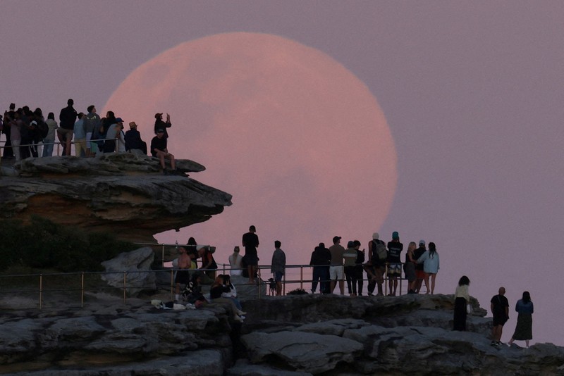 Pesawat melintasi bulan supermoon di Aguimes, Pulau Gran Canaria, Spanyol, 5 November 2025. (REUTERS/Borja Suarez)