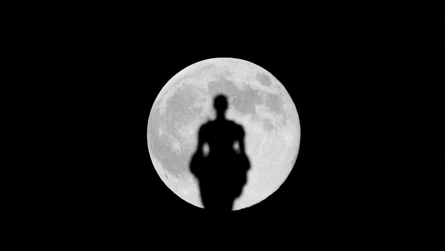 Pesawat melintasi bulan supermoon di Aguimes, Pulau Gran Canaria, Spanyol, 5 November 2025. (REUTERS/Borja Suarez)