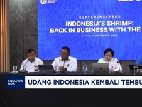 Video: Usai Kasus CS 137, Udang RI Kembali Masuk Pasar Amerika Serikat