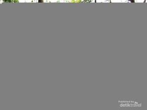 Pecinta Alam Wajib Tahu, Tempat Outbound Seru di Kota Bandung