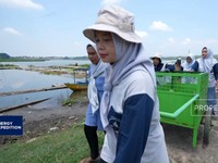 Video: Cuan Warga Waduk Cengklik, Eceng Gondok Jadi Biogas dan Pupuk