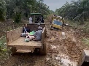 Video Heboh Jenazah di Jambi Dibawa Pakai Traktor Sawit gegara Jalan Rusak