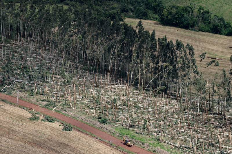 Angin Tornado menerjang sejumlah wilayah di kota Rio Bonito do Iguacu, negara bagian Parana, Brasil selatan, pada Jumat, 7 November. (via REUTERS/Parana State Government)