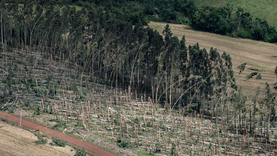Angin Tornado menerjang sejumlah wilayah di kota Rio Bonito do Iguacu, negara bagian Parana, Brasil selatan, pada Jumat, 7 November. (via REUTERS/Parana State Government)